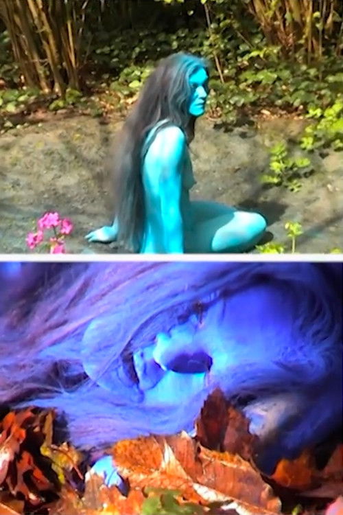 S.O.S. Sky on Skin (2009) poster