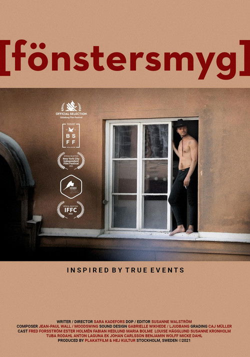 Window (2022) poster