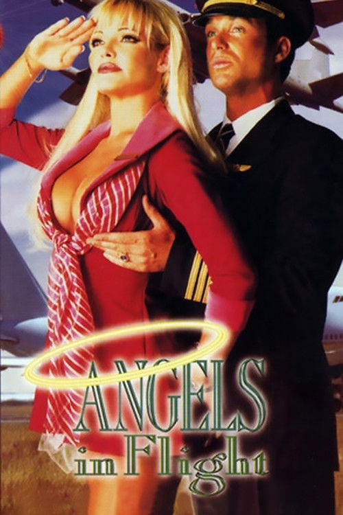 Angels in Flight (1995) poster