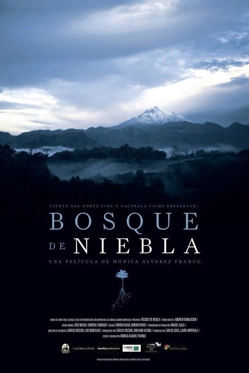 Bosque de niebla (2017) poster