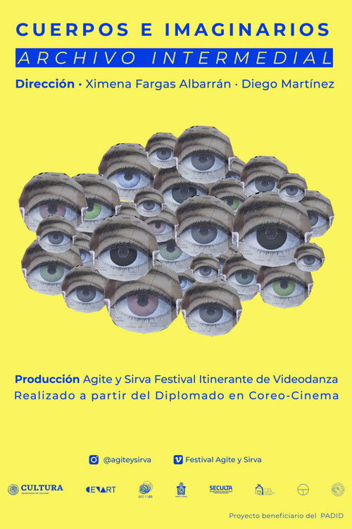 Cuerpos e imaginarios (2020) poster