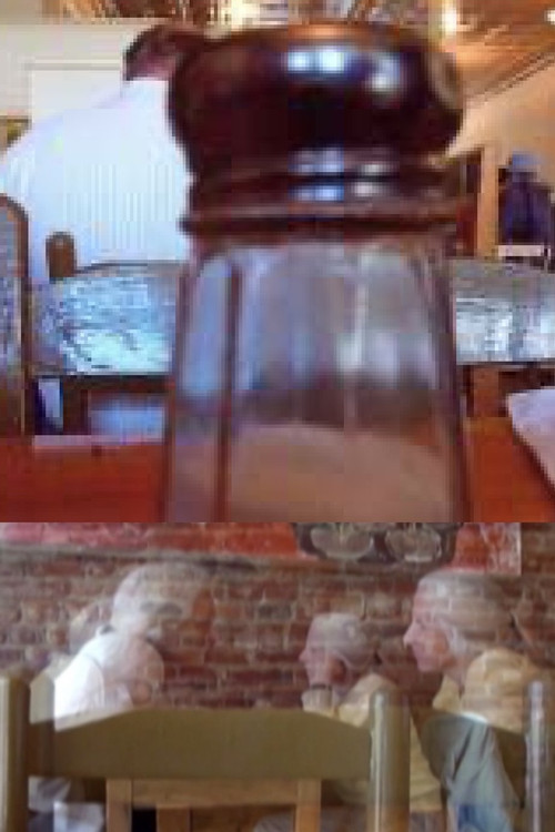 THE SALT SHAKER AND THE MOON (2009) poster