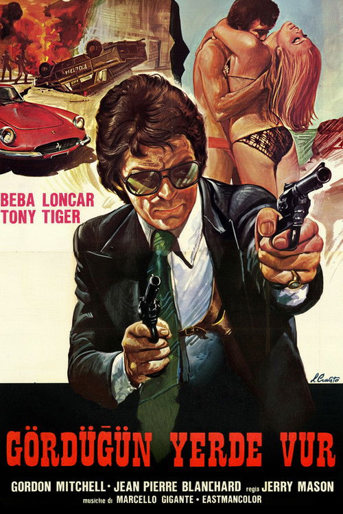 Gördüğün Yerde Vur (1976) poster