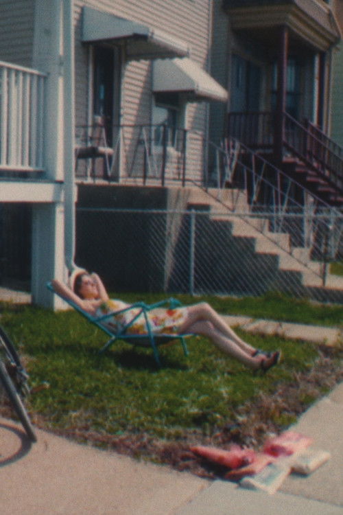 In Pictures Did You Get It Right? (2025) poster