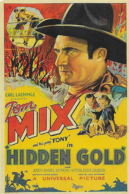 Hidden Gold (1932) poster