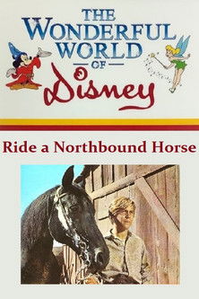 Ride a Northbound Horse (1969) poster