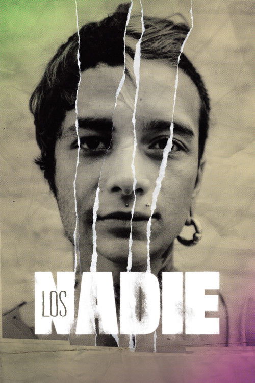 The Nobodies (2016) poster