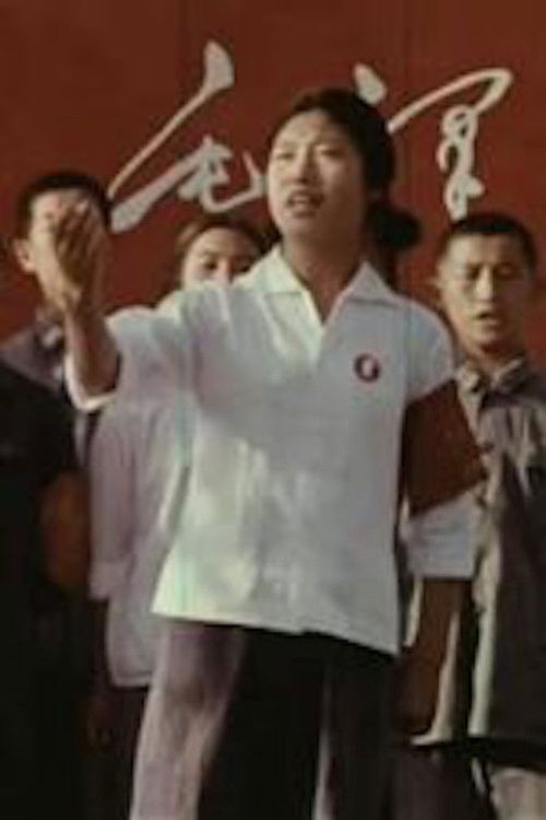 Mao: Seize the Day, Seize the Hour (1972) poster