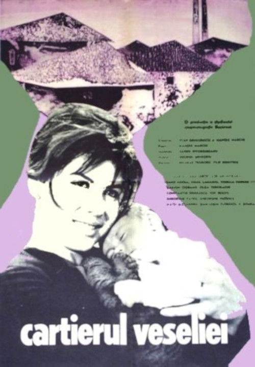 Merriment Ward (1964) poster