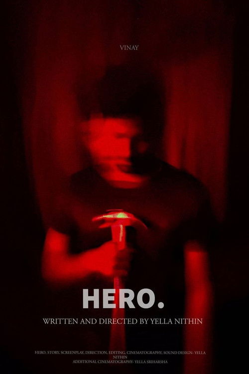 HERO... (2021) poster