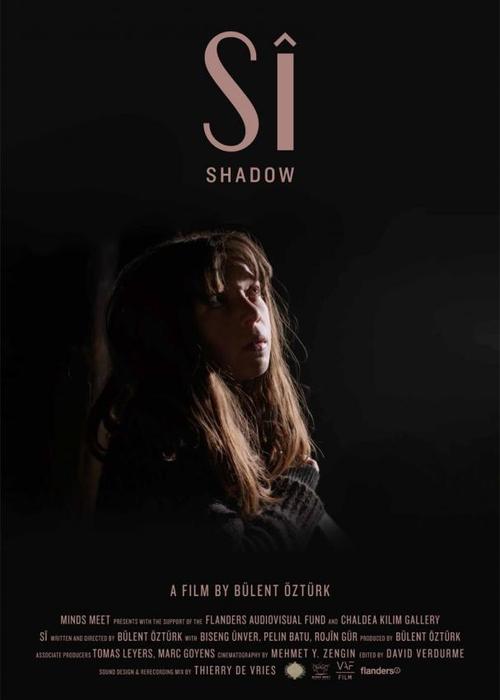 Shadow (2015) poster