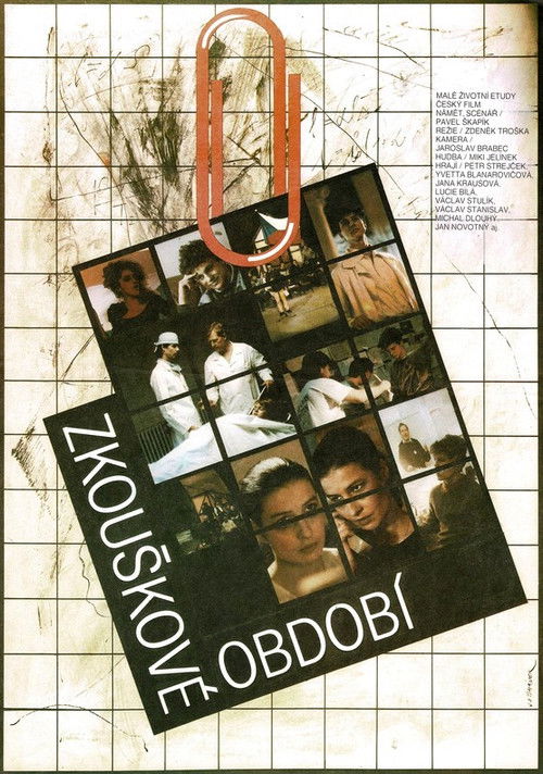 The Period of Examinations (1990) poster