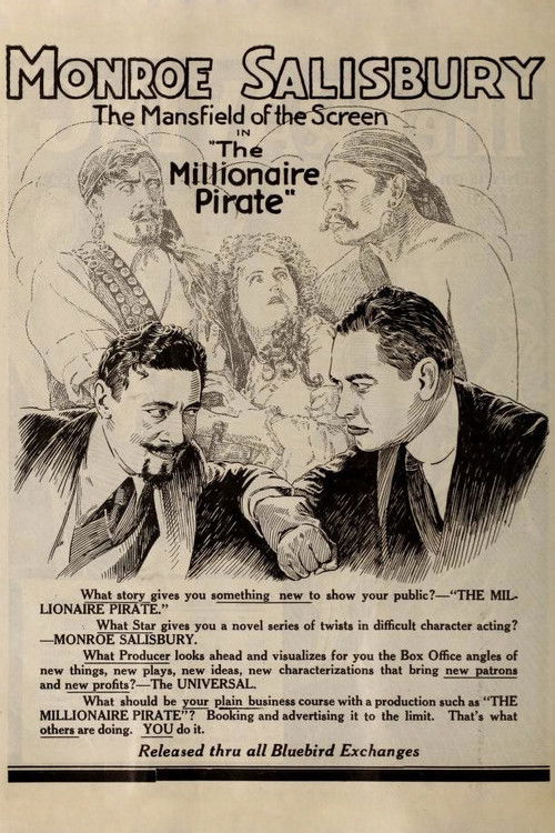 The Millionaire Pirate (1919) poster