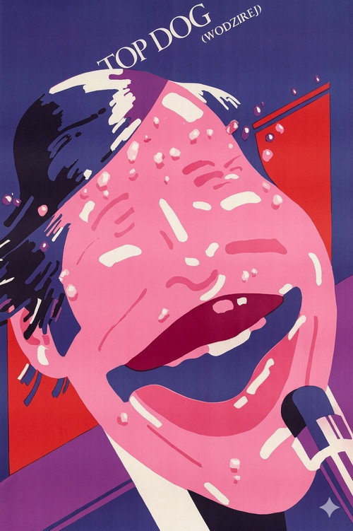 Wodzirej (1978) poster