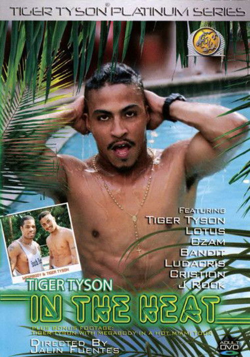 Tiger Tyson: In the Heat (2006) poster