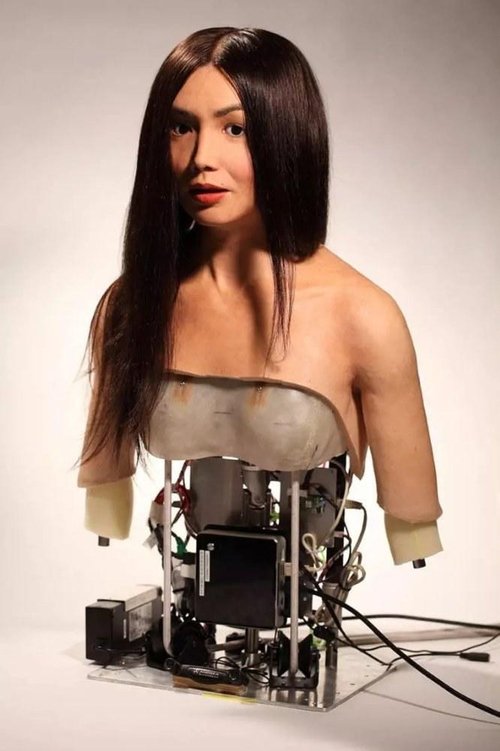 How to Build a Human (2016) poster