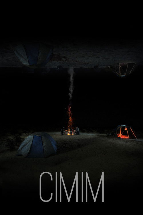 CIMIM (2022) poster