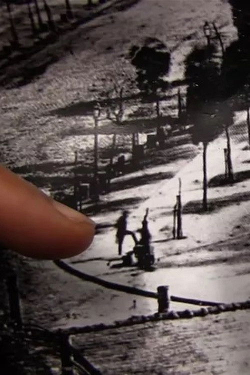 and the image gazes back (2014) poster