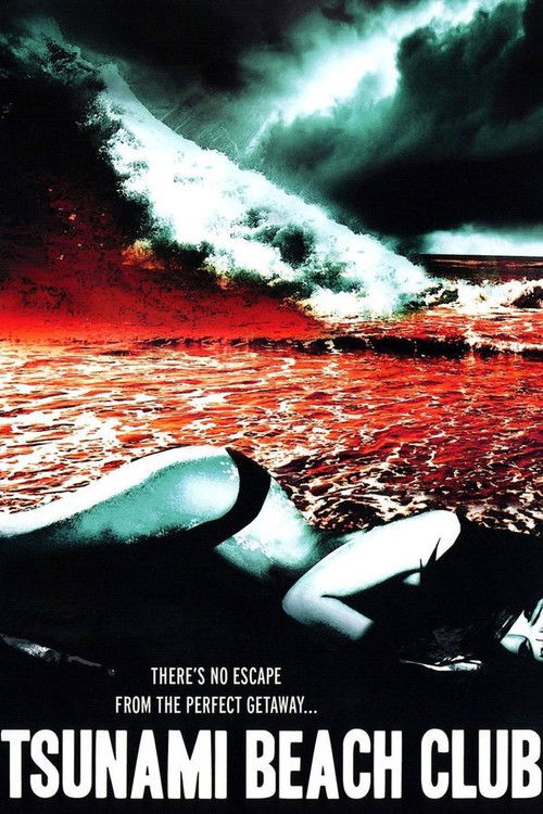 Tsunami Beach Club (2008) poster