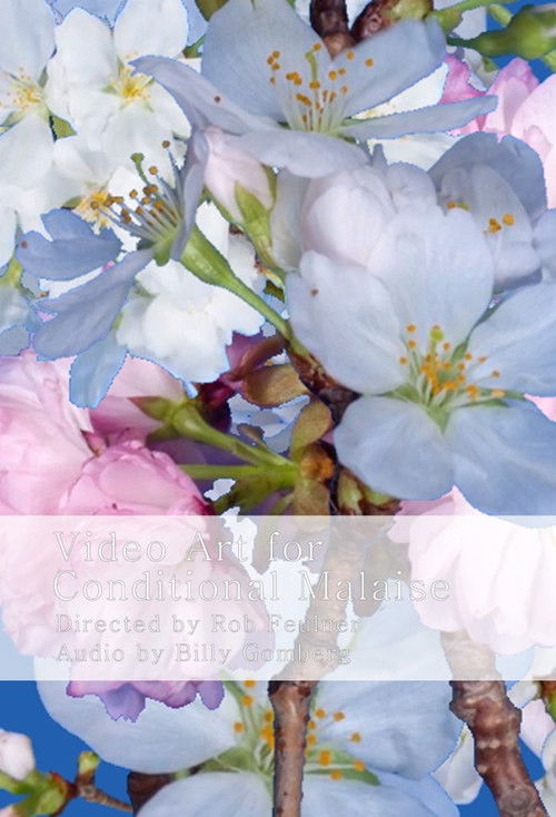 Video Art for Conditional Malaise (2017) poster