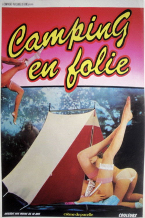Le Camping en Folie (1981) poster