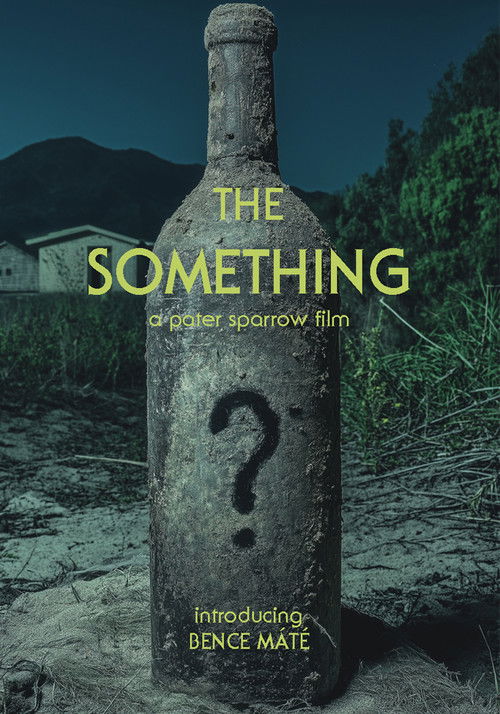 The Something (2000) poster