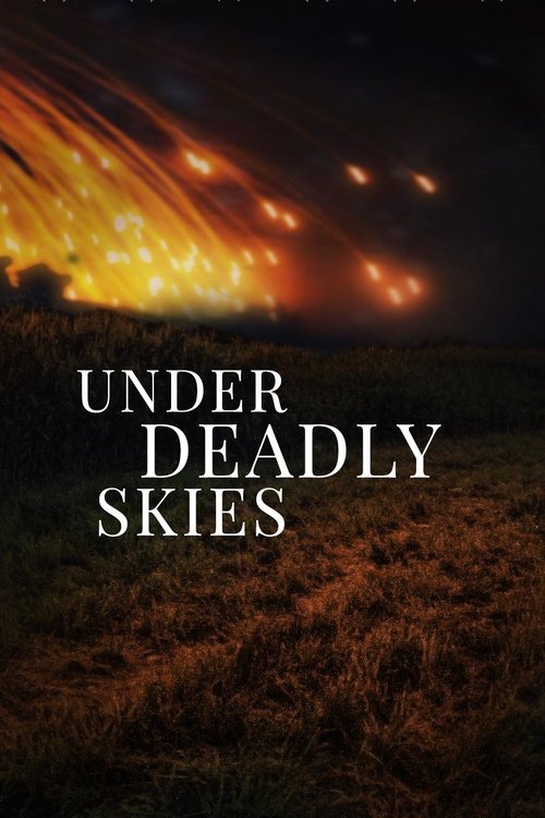 Under Deadly Skies: Ukraine's Eastern Front (2023) poster