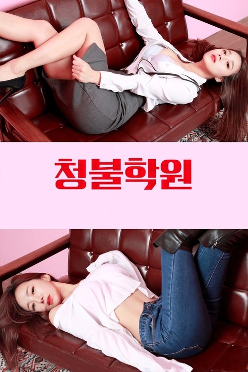 Adult Only Institute (2017) poster