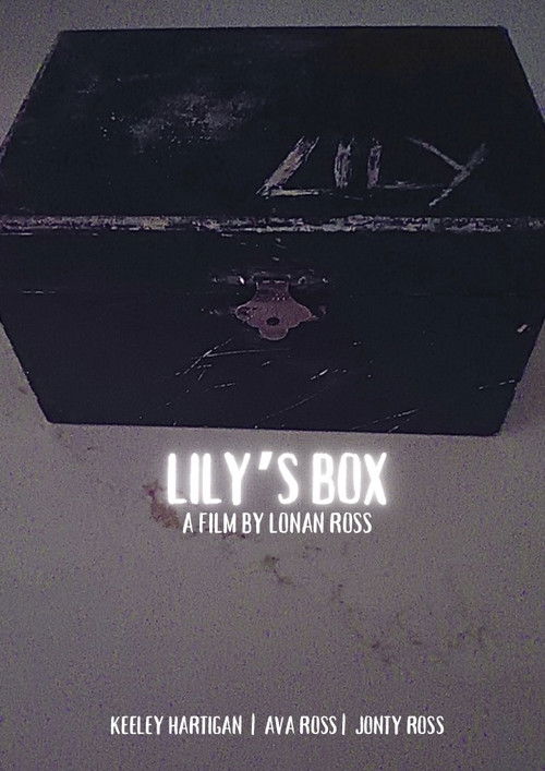 Lily’s Box (2024) poster
