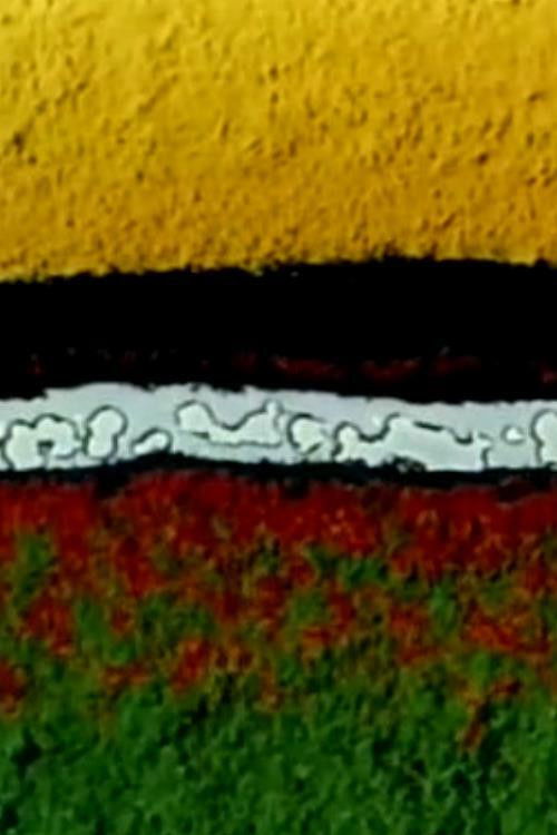 …And There Was Light (1973) poster