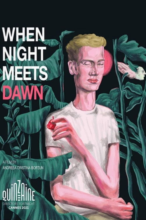 When Night Meets Dawn (2021) poster