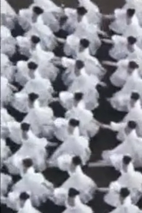 Le Défilé (1977) poster