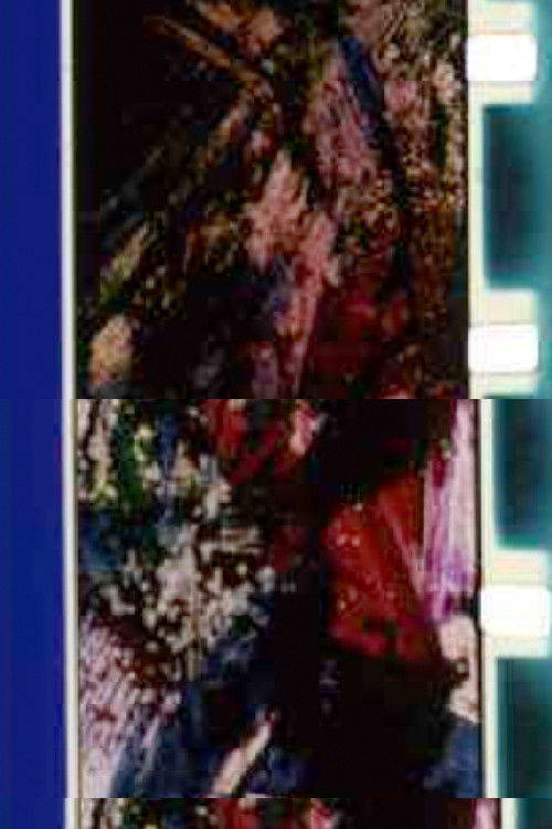 Shockingly Hot (1996) poster