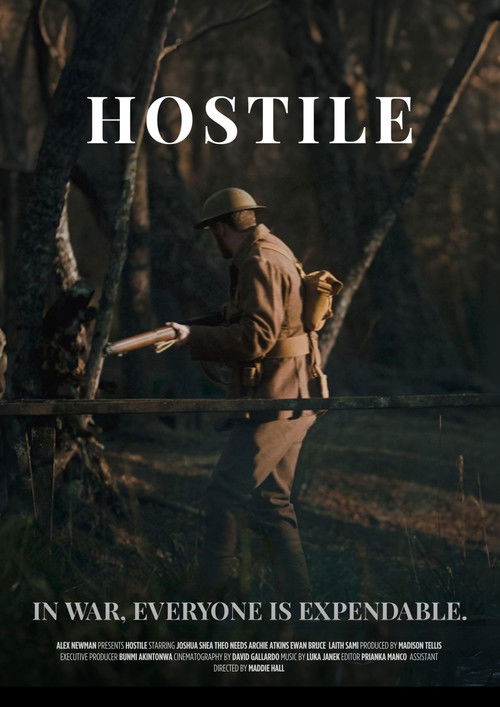 Hostile (2025) poster