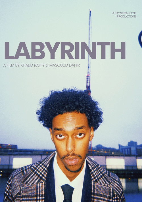 Labyrinth (2025) poster