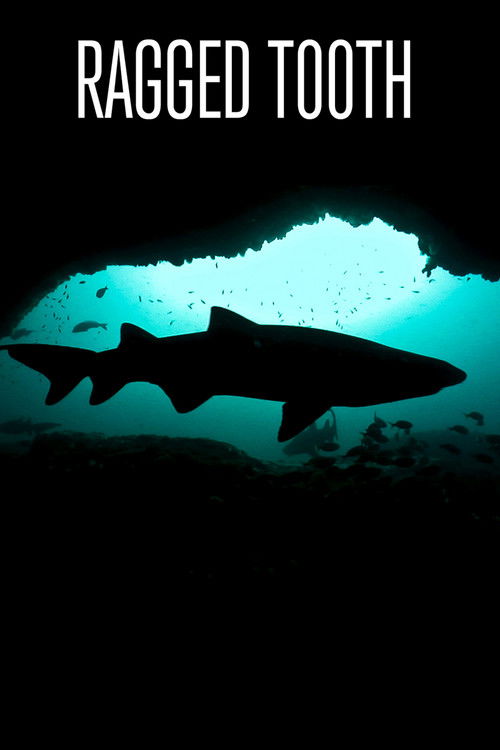 Ragged Tooth (2011) poster