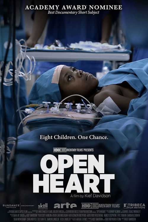 Open Heart (2013) poster
