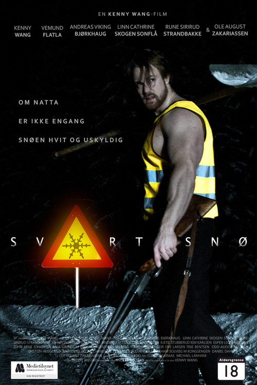 Svart Snø (2014) poster