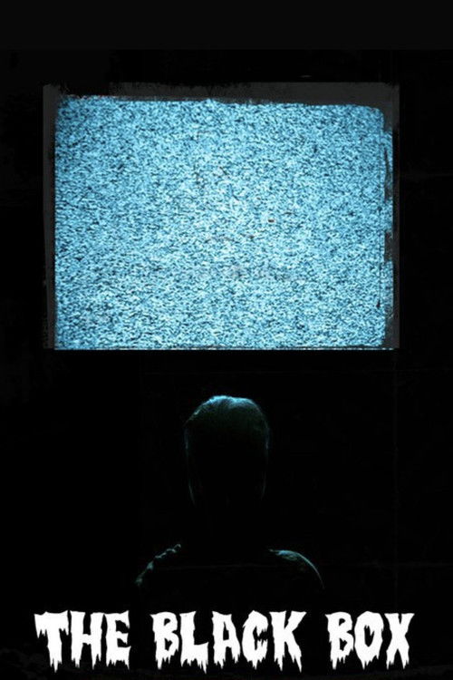 The Black Box (2010) poster