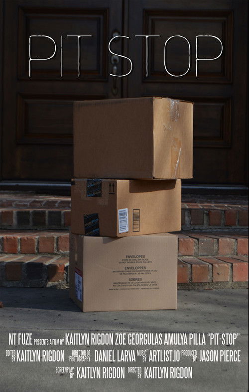 Pit-Stop (2018) poster