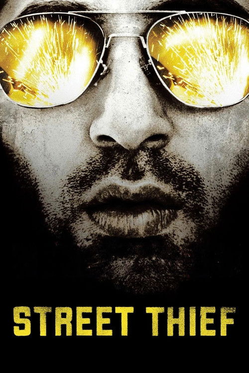 Street Thief (2006) poster