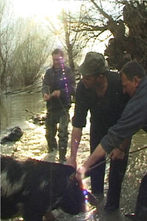 Danube Soap Opera (2006) poster