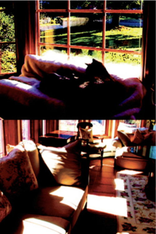 Aberration of Starlight (2008) poster