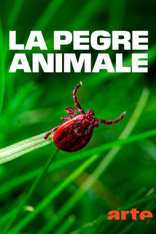 La pègre animale: la vie secrète des parasites (2025) poster