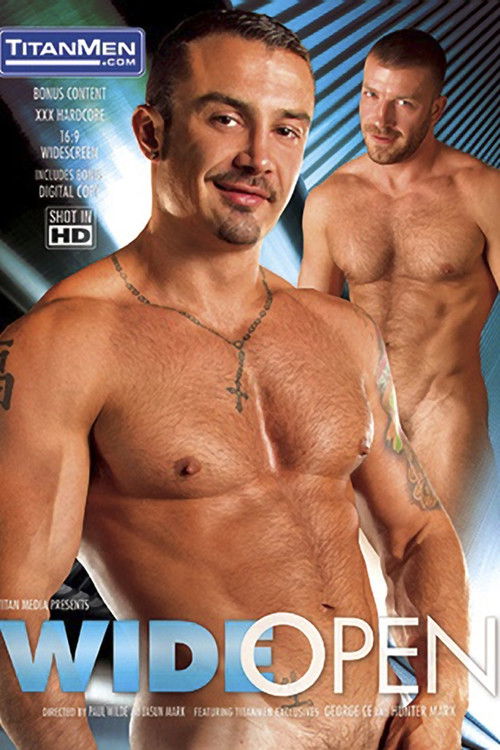 Wide Open (2012) poster