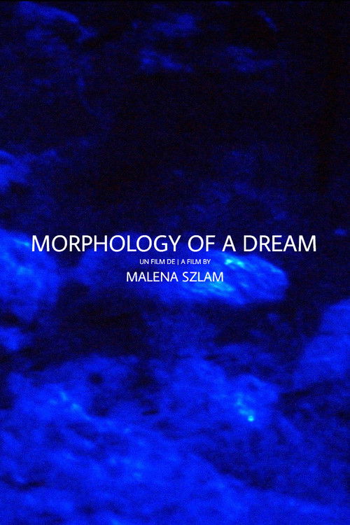 Morphology of a Dream (2014) poster