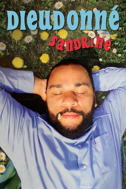 Dieudonné - Sandrine (2009) poster