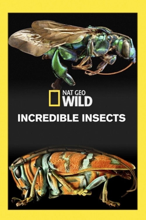 Incredible Insects (2016) poster