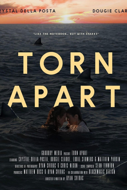 Torn Apart (2024) poster
