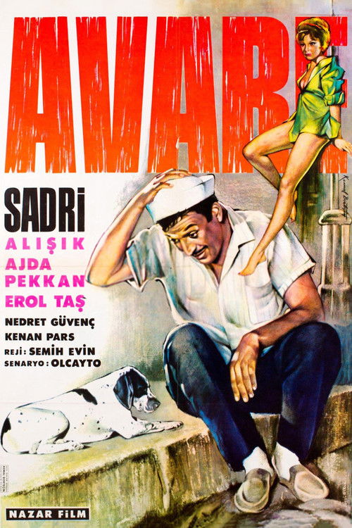 Avare (1965) poster